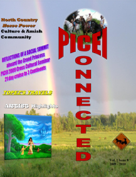 PICEI CONNECTED Publication -  Please Wait To Load, Large File